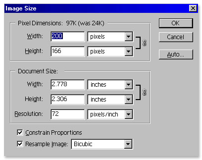 Screen shot of enlarging digital photo in Photoshop