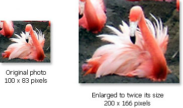 Comparison between original and enlarged digital photo